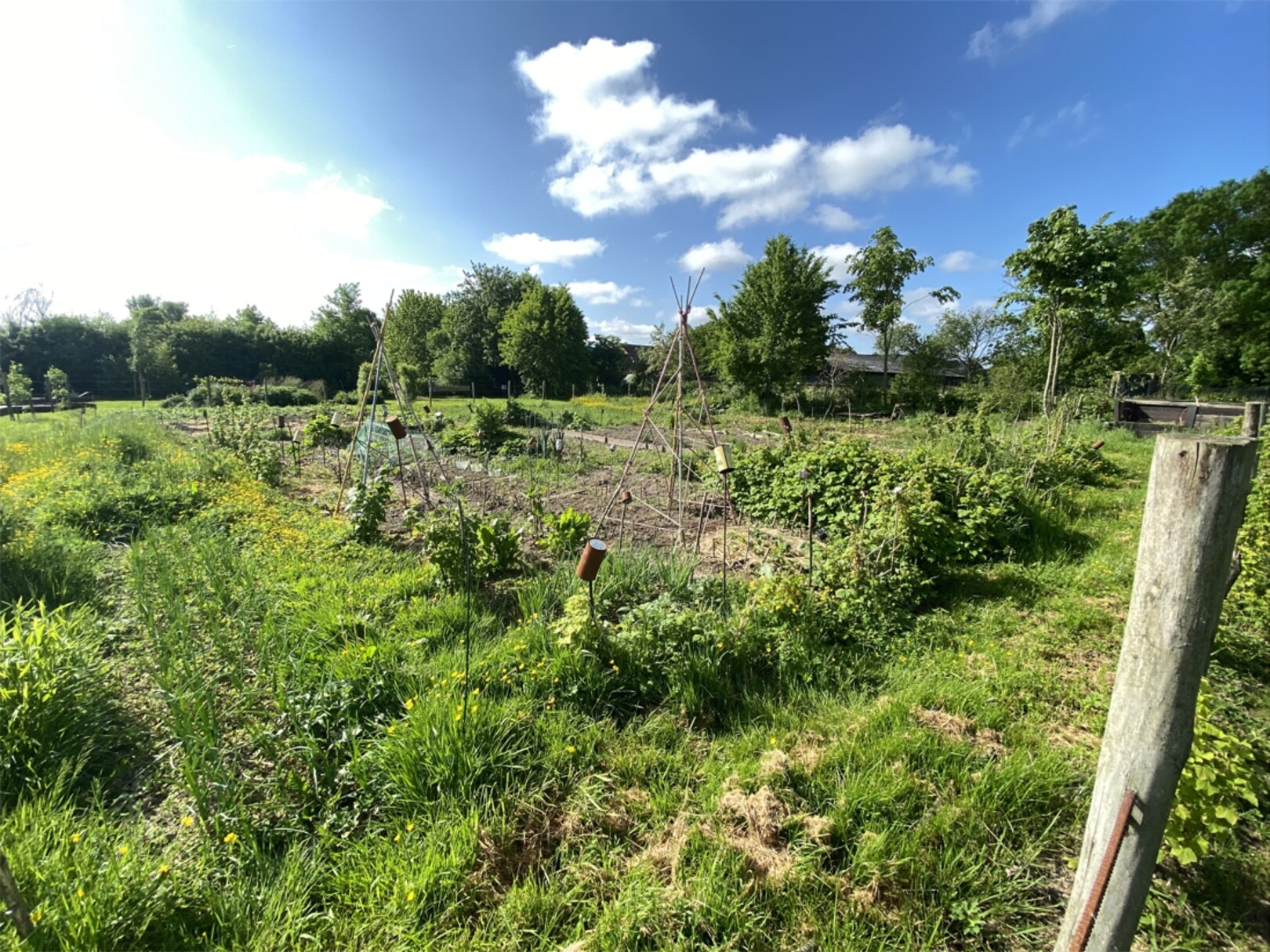 Jardin didactique de la Burdinale